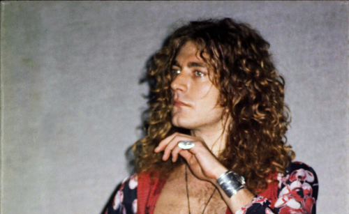 Image result for robert plant
